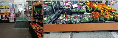 Go Go ユニディ狛江店 販売日記ブログ Go Go ユニディ狛江店 販売日記ブログ