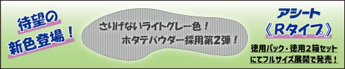 Rタイプ新登場