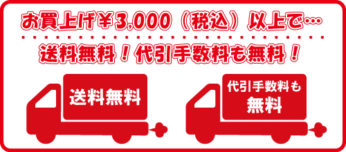 税込3000円以上で送料・代引手数料無料